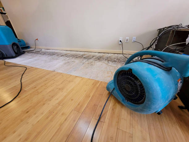Professional Water Damage Repair technician working in Burlington, IL